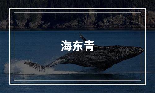 海东青