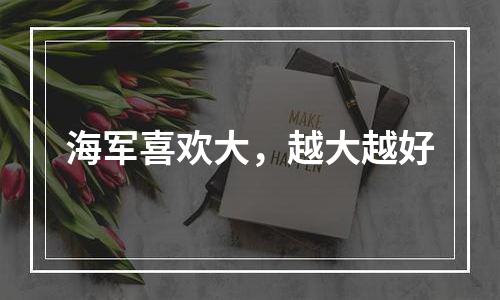 海军喜欢大，越大越好