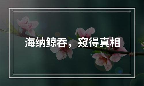 海纳鲸吞，窥得真相