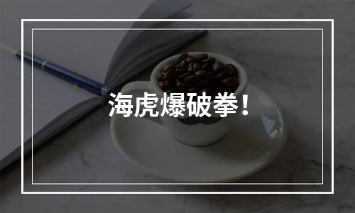 海虎爆破拳！