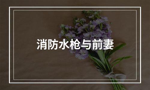 消防水枪与前妻