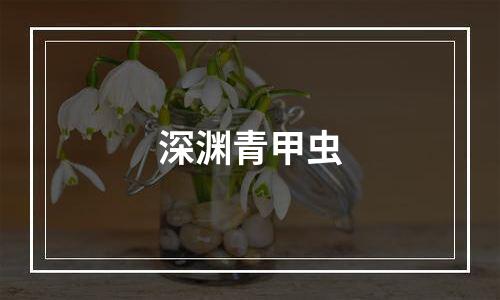 深渊青甲虫