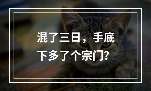 混了三日，手底下多了个宗门？
