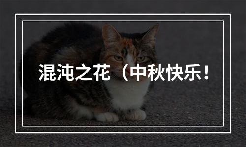 混沌之花（中秋快乐！