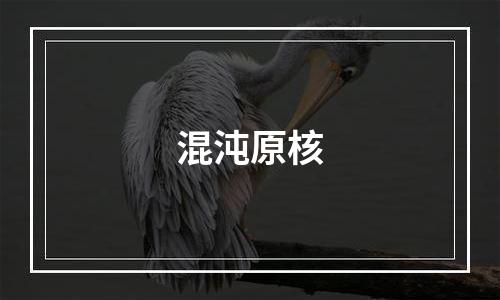 混沌原核