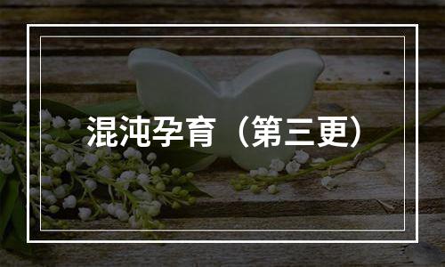 混沌孕育（第三更）