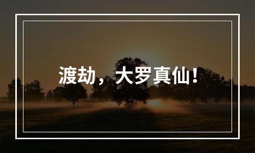 渡劫，大罗真仙！