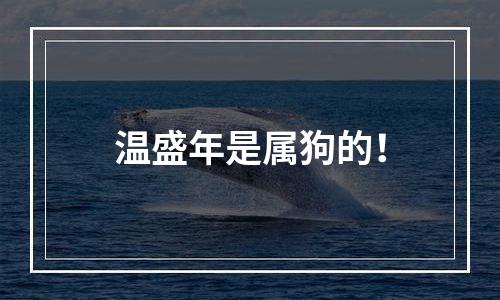 温盛年是属狗的！