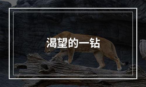 渴望的一钻