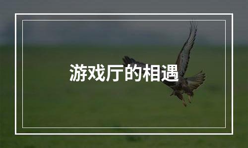 游戏厅的相遇