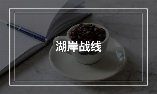 湖岸战线