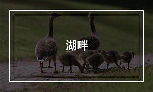 湖畔