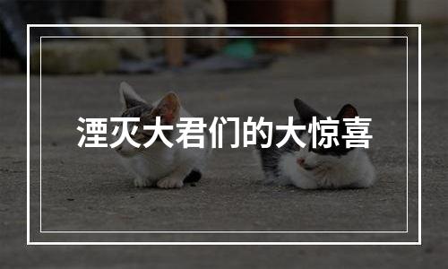 湮灭大君们的大惊喜