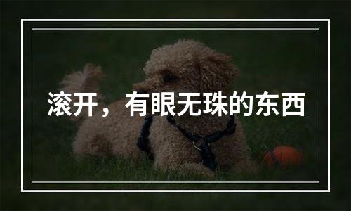 滚开，有眼无珠的东西