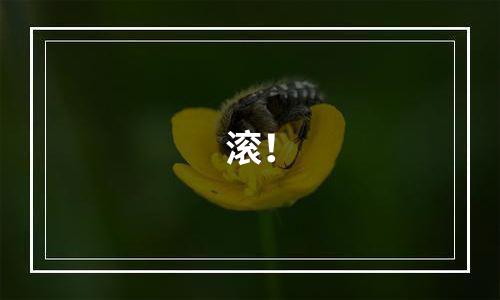 滚！