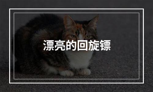 漂亮的回旋镖