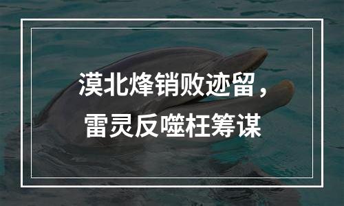 漠北烽销败迹留， 雷灵反噬枉筹谋