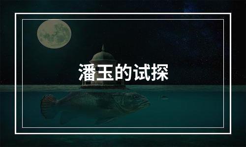潘玉的试探