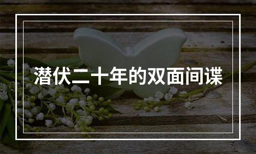 潜伏二十年的双面间谍
