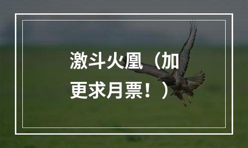 激斗火凰（加更求月票！）