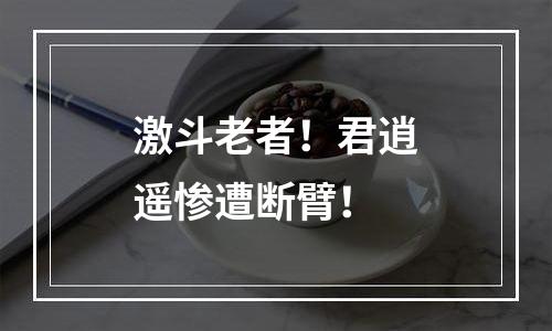 激斗老者！君逍遥惨遭断臂！