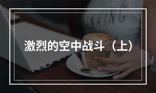 激烈的空中战斗（上）