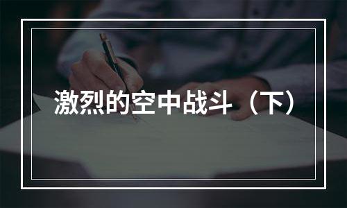 激烈的空中战斗（下）