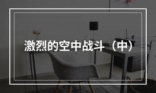激烈的空中战斗（中）