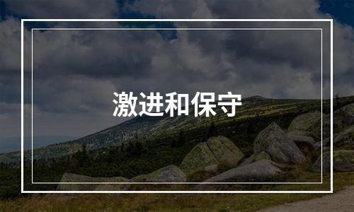 激进和保守