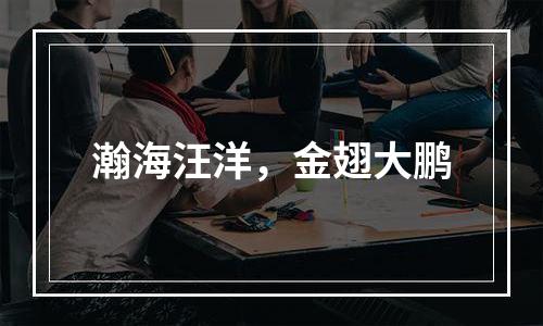 瀚海汪洋，金翅大鹏