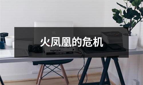 火凤凰的危机