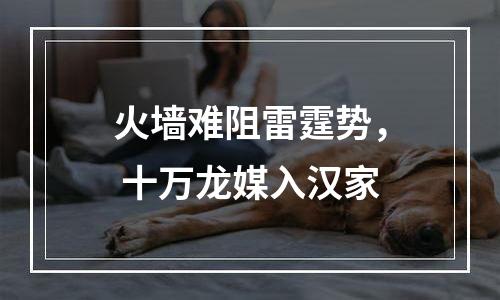火墙难阻雷霆势， 十万龙媒入汉家