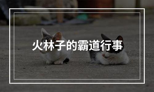 火林子的霸道行事