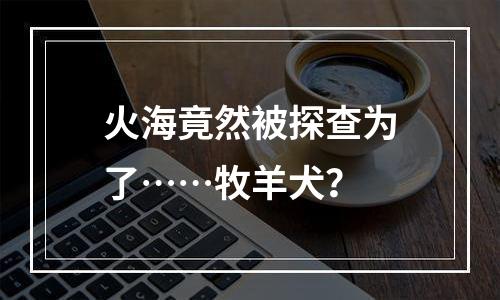 火海竟然被探查为了……牧羊犬？