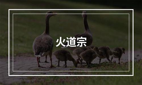 火道宗