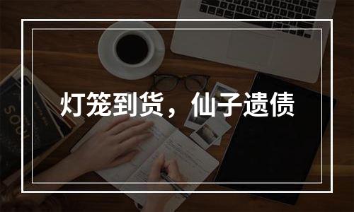 灯笼到货，仙子遗债