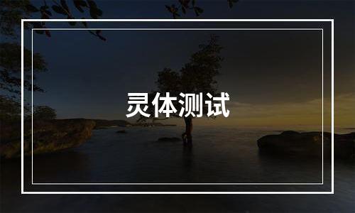 灵体测试