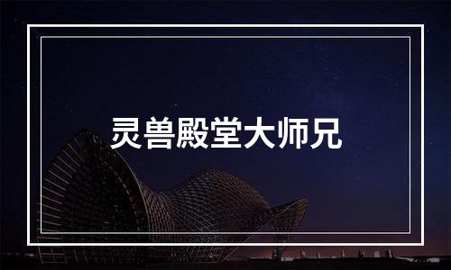 灵兽殿堂大师兄