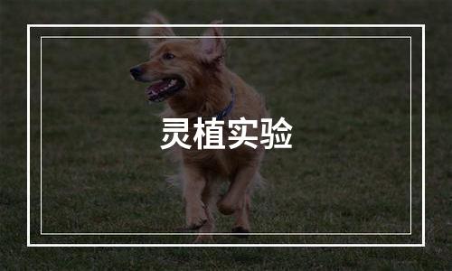 灵植实验