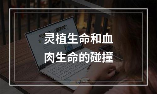 灵植生命和血肉生命的碰撞