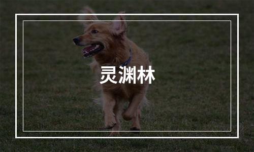 灵渊林