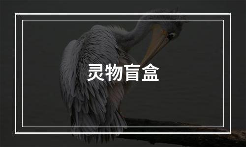 灵物盲盒