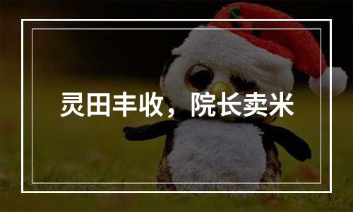 灵田丰收，院长卖米