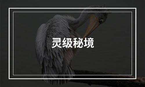 灵级秘境