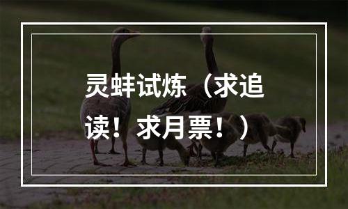 灵蚌试炼（求追读！求月票！）