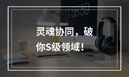 灵魂协同，破你S级领域！