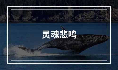 灵魂悲鸣
