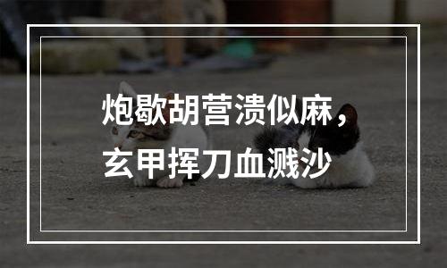 炮歇胡营溃似麻，玄甲挥刀血溅沙