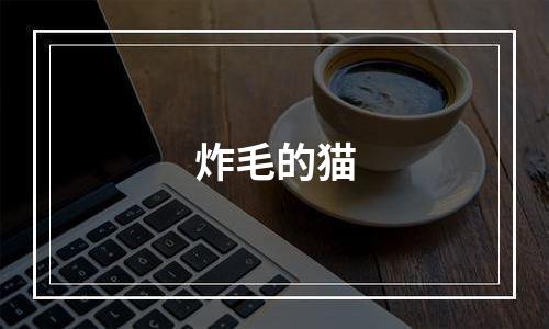 炸毛的猫