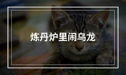 炼丹炉里闹乌龙
